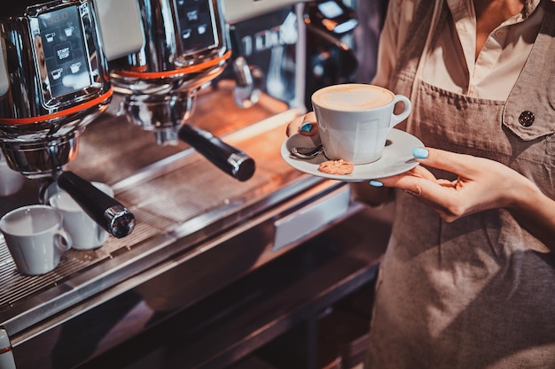 Cafeteira Elétrica Electrolux ECM30 Avaliação Desempenho e Praticidade na Sua Cozinha